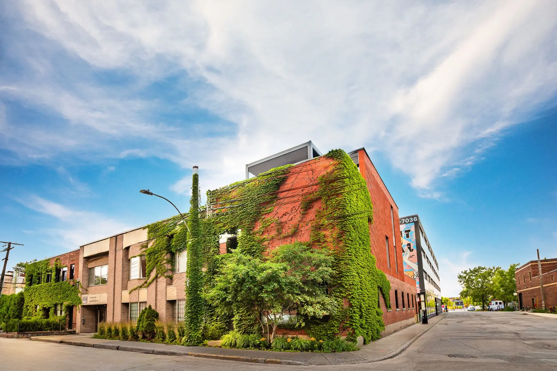 205 Rue St-Zotique O. — photo 1