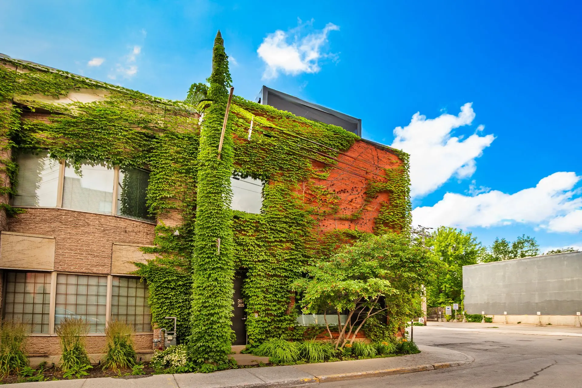 205 Rue St-Zotique O. — photo 2