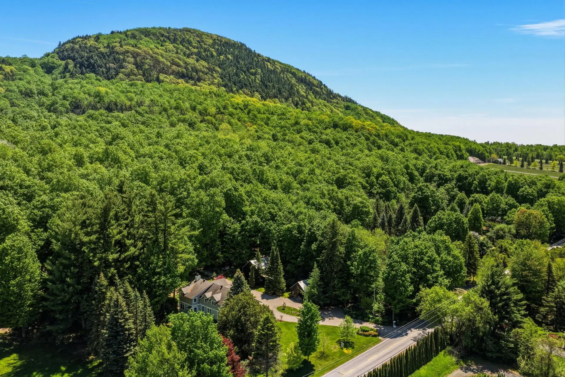 865 Rg de la Montagne, Saint-Paul-d'Abbotsford — photo 3