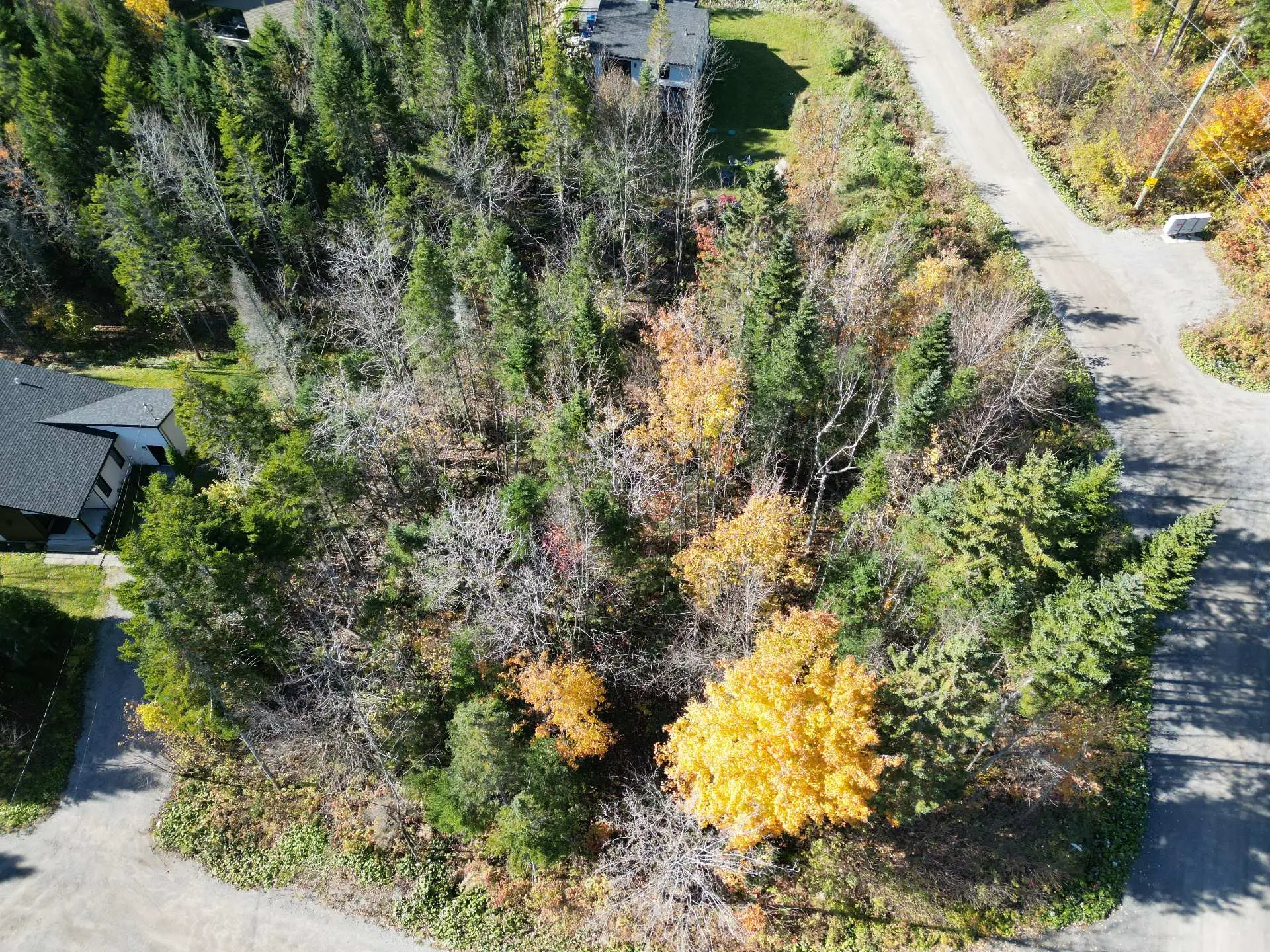 702 Rue Viau, Sainte-Brigitte-de-Laval — photo 2