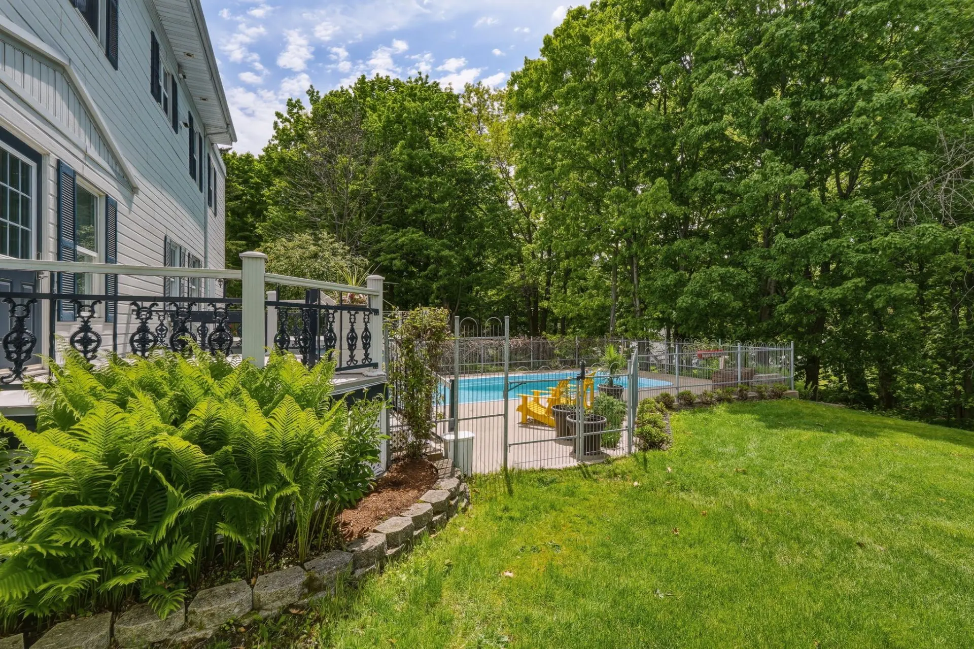 Backyard