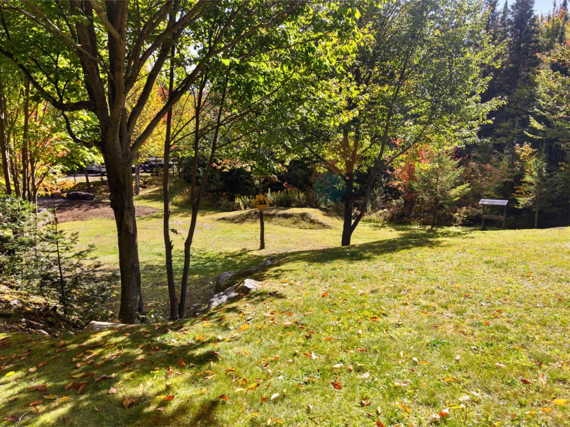 Land/Lot