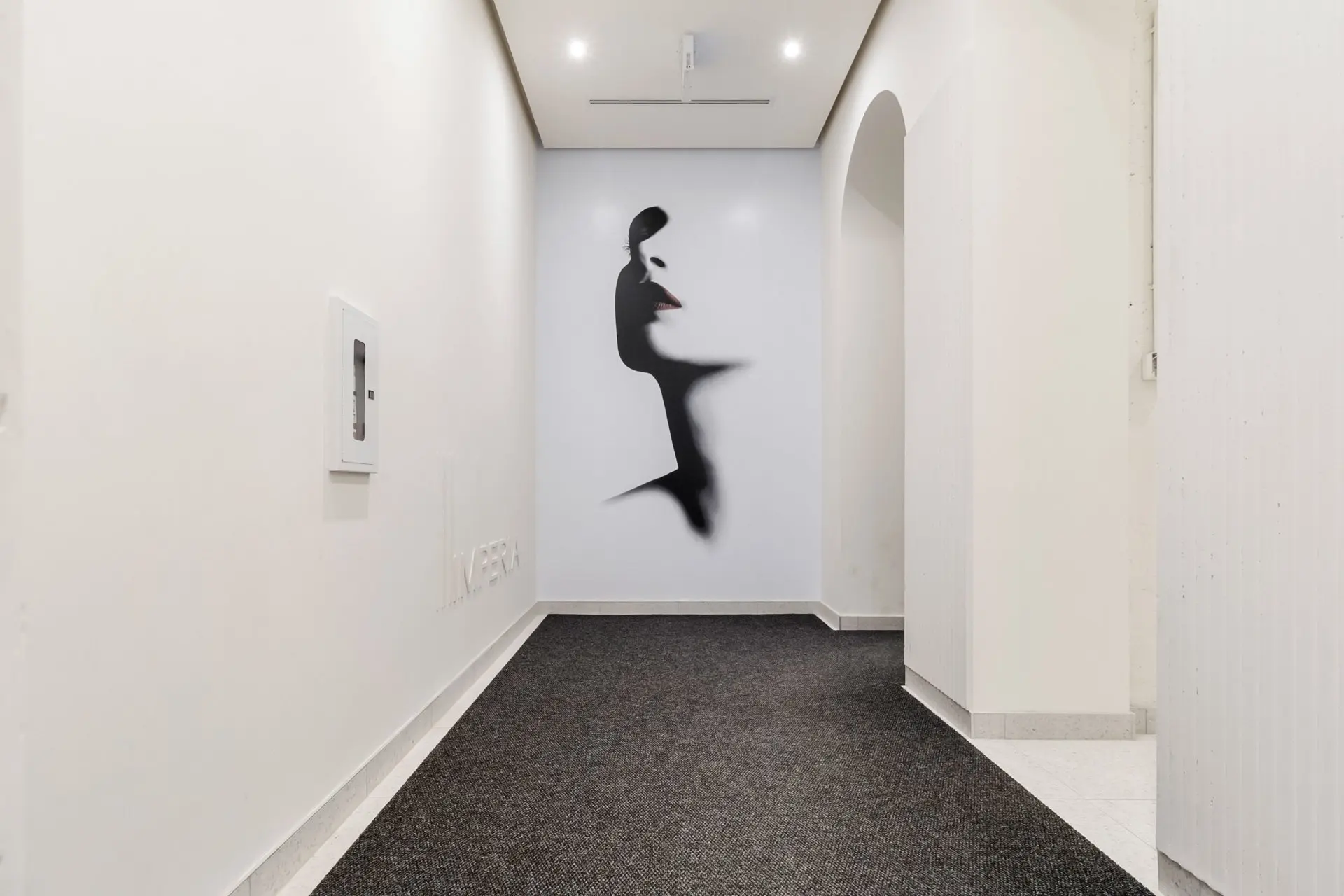 Hall d'entrée/Vestibule