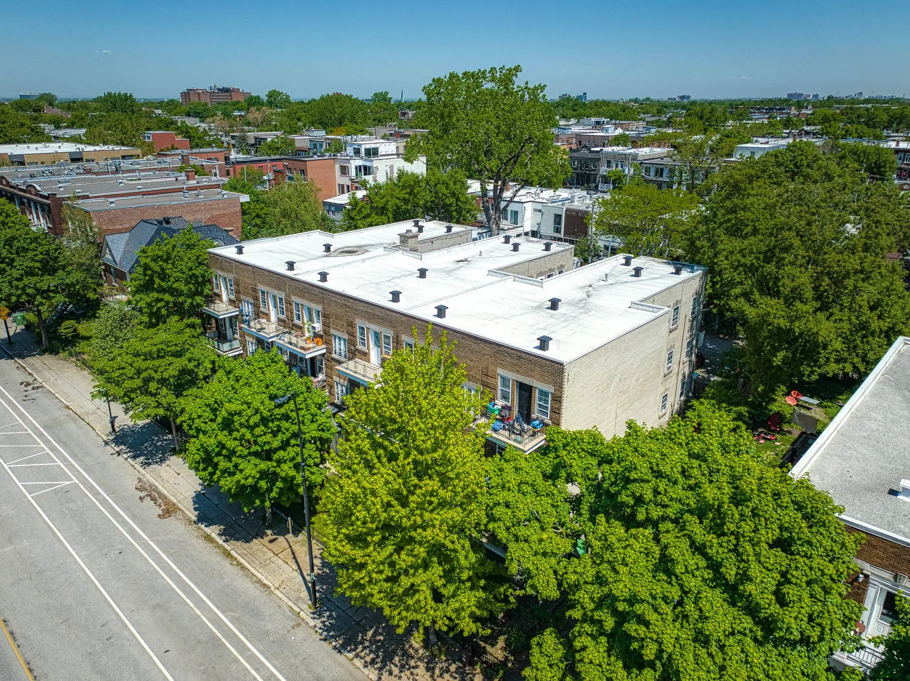 6657 Av. Christophe-Colomb — photo 3
