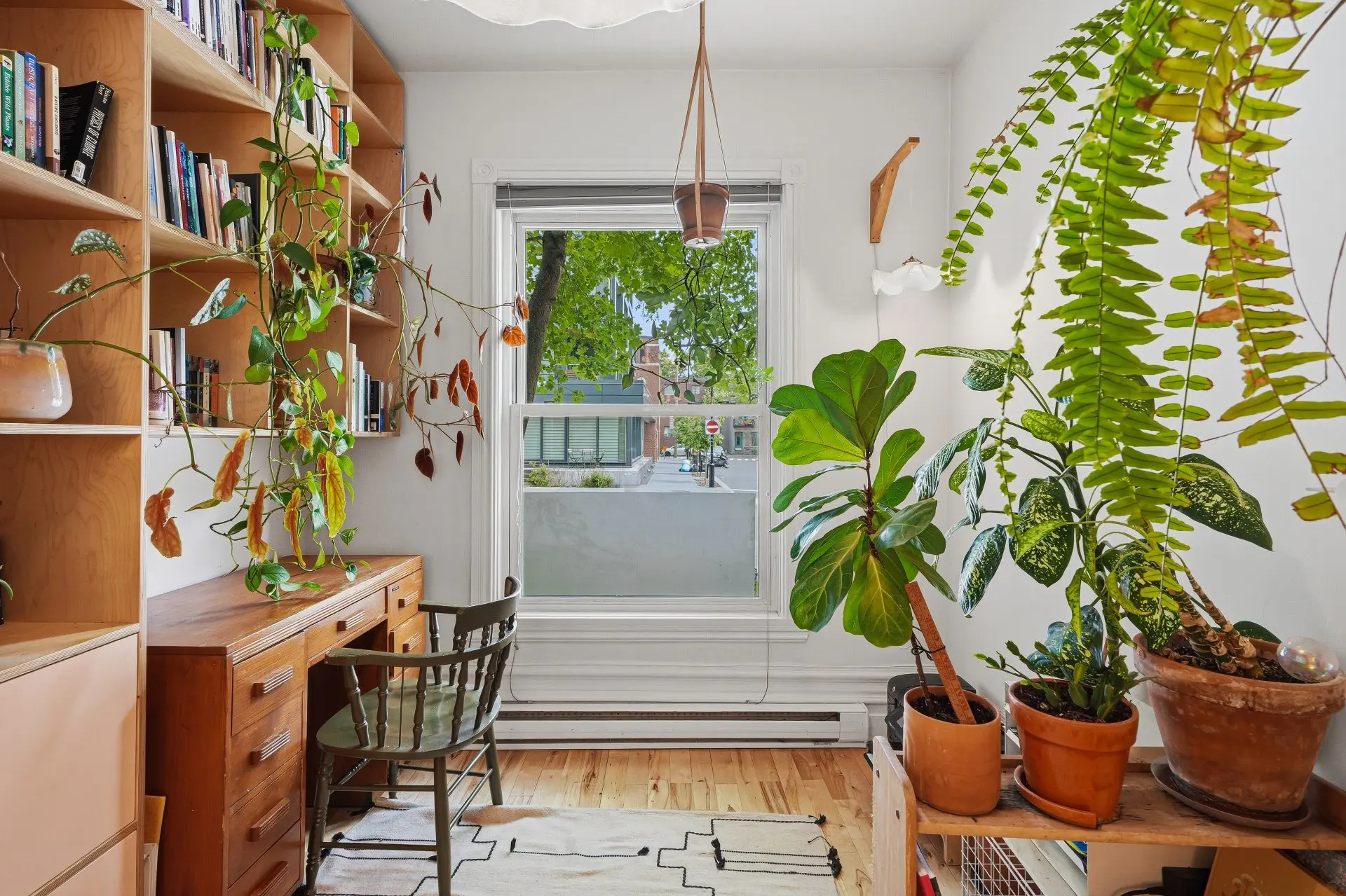 2106 Rue Atateken — photo 3