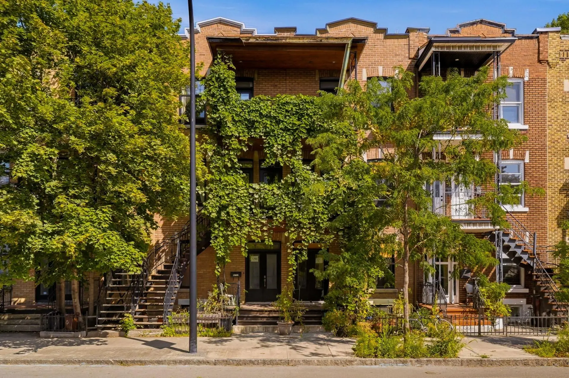 7301 Rue St-Denis — photo 2