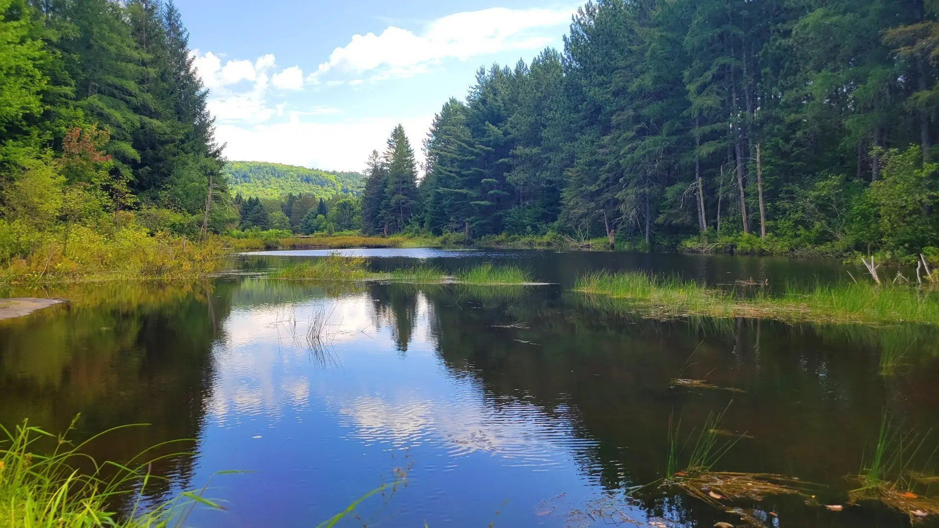 600 Rg Mastigouche, Mandeville — photo 2