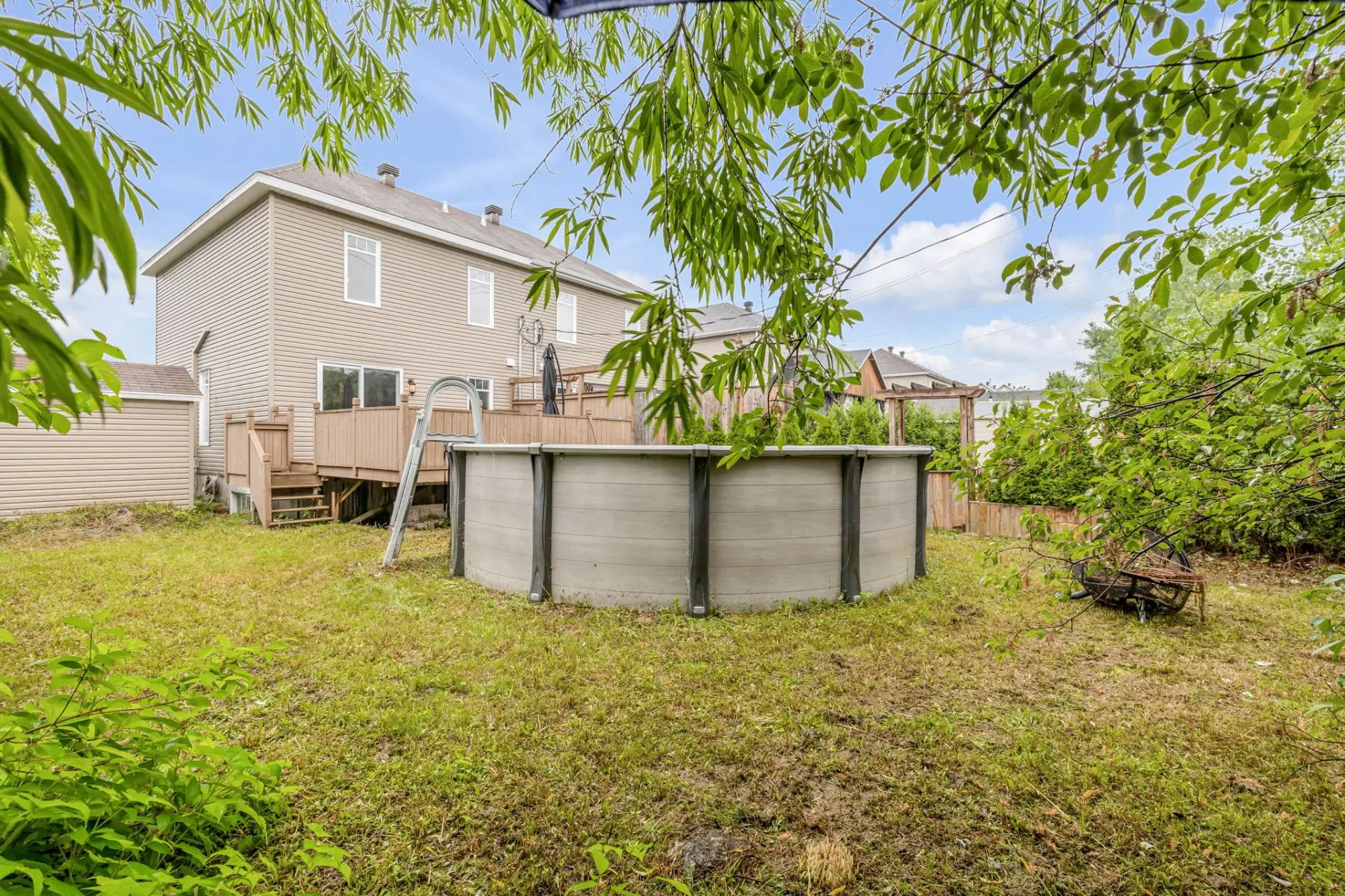 Backyard