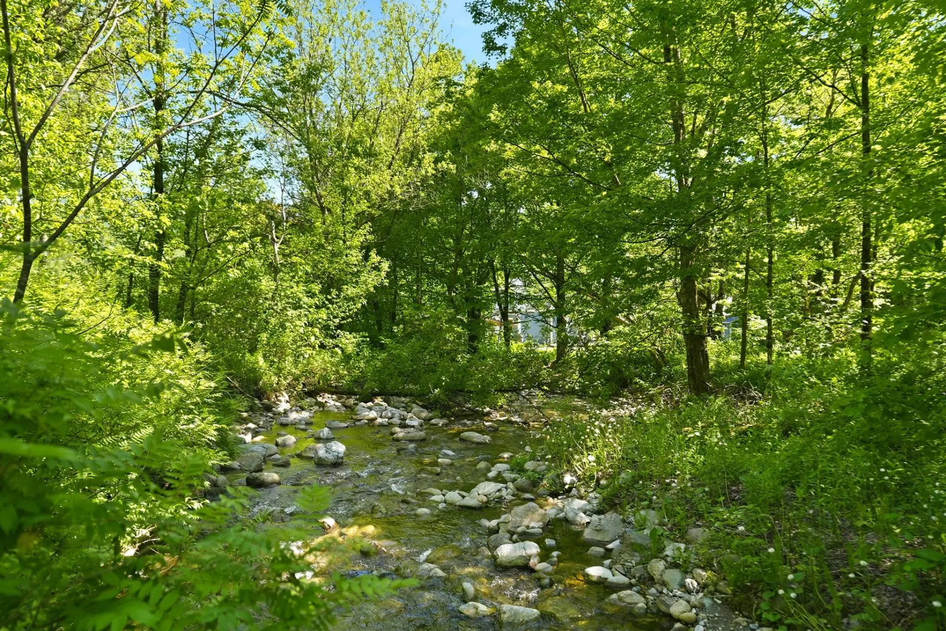 1429 Ch. de la Vallée-Missisquoi, Sutton — photo 3