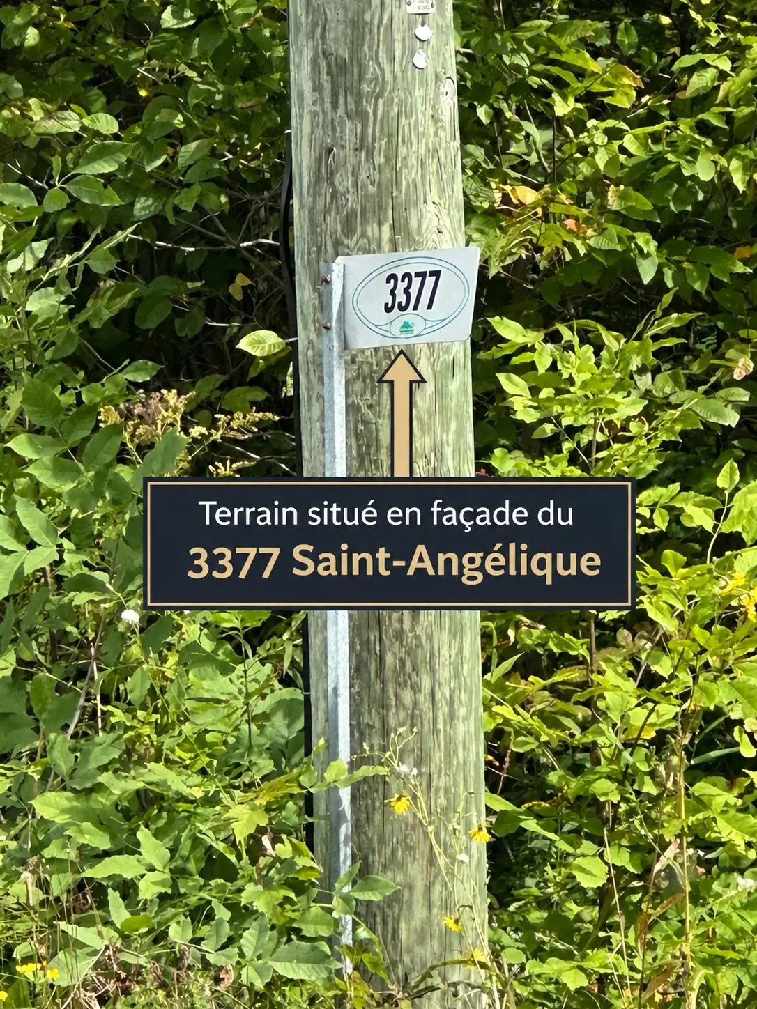 Ch. Ste-Angélique, Saint-Lazare — photo 1