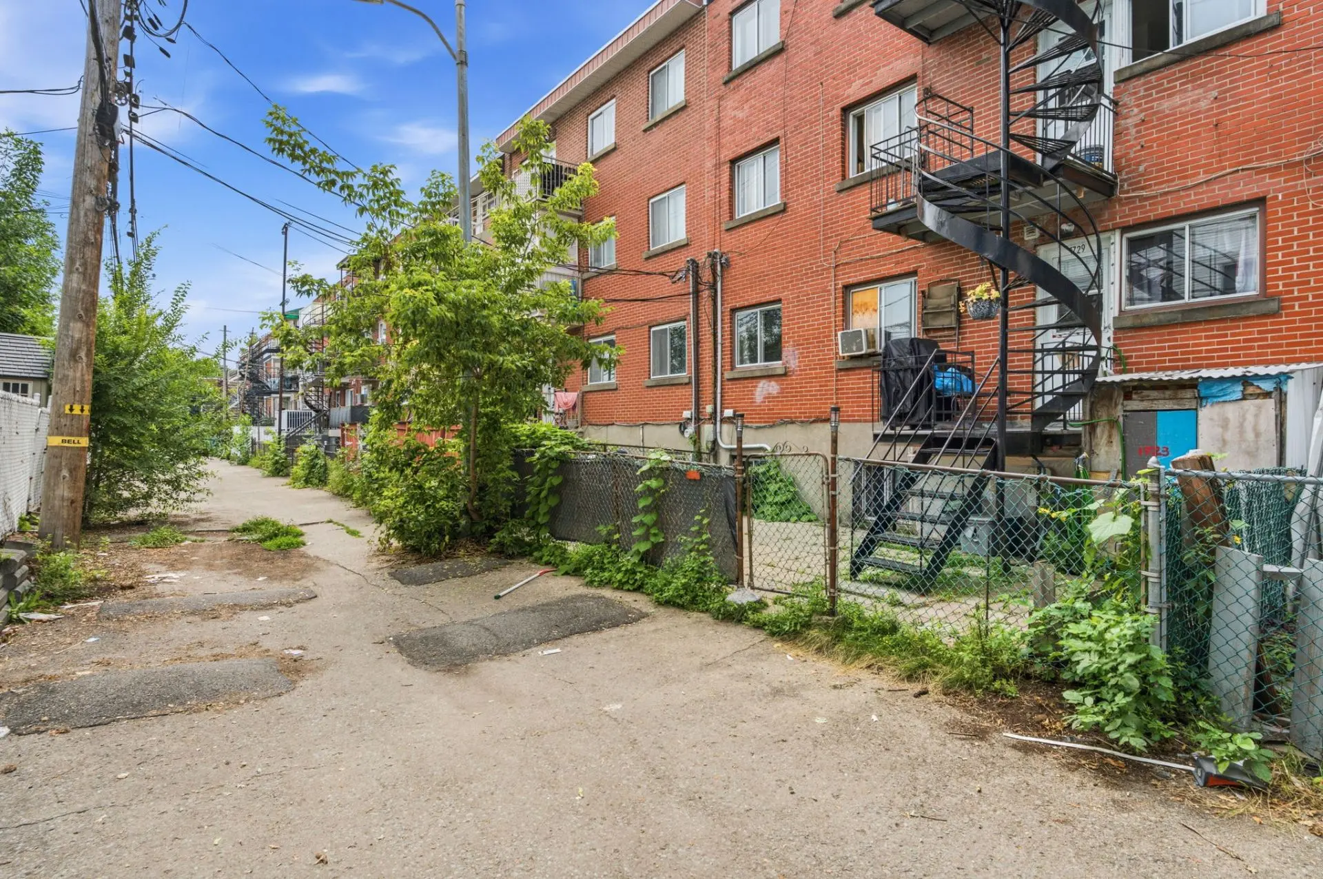 1729 Rue Liébert — photo 2