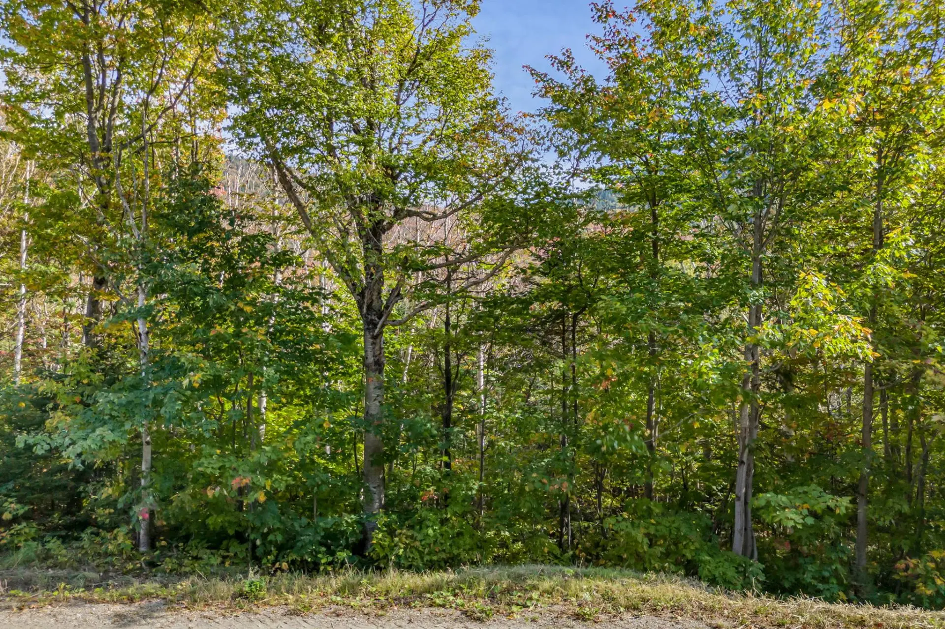 1863 Route du Massif S., Saint-Philémon — photo 2