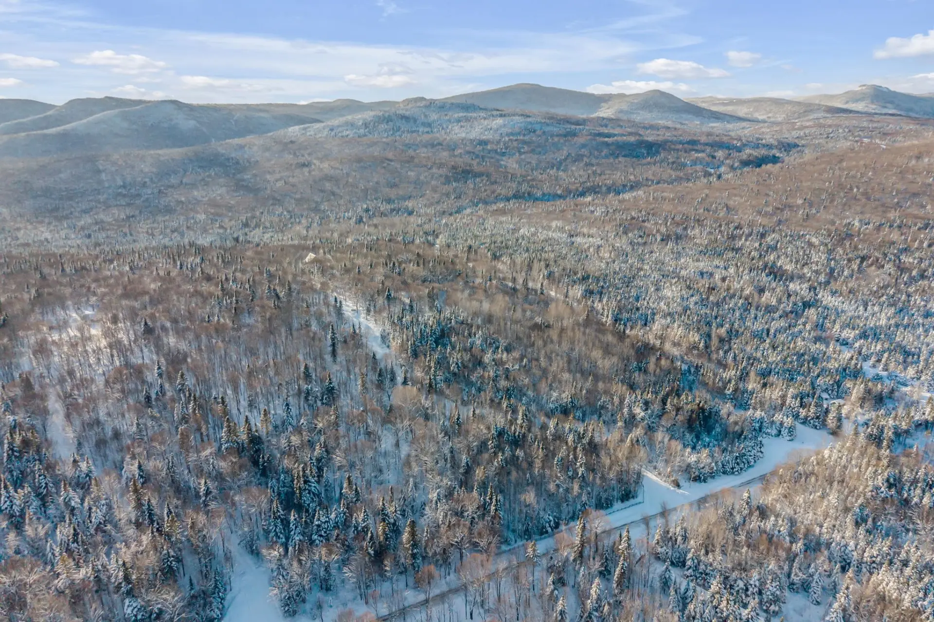 Terre à bois