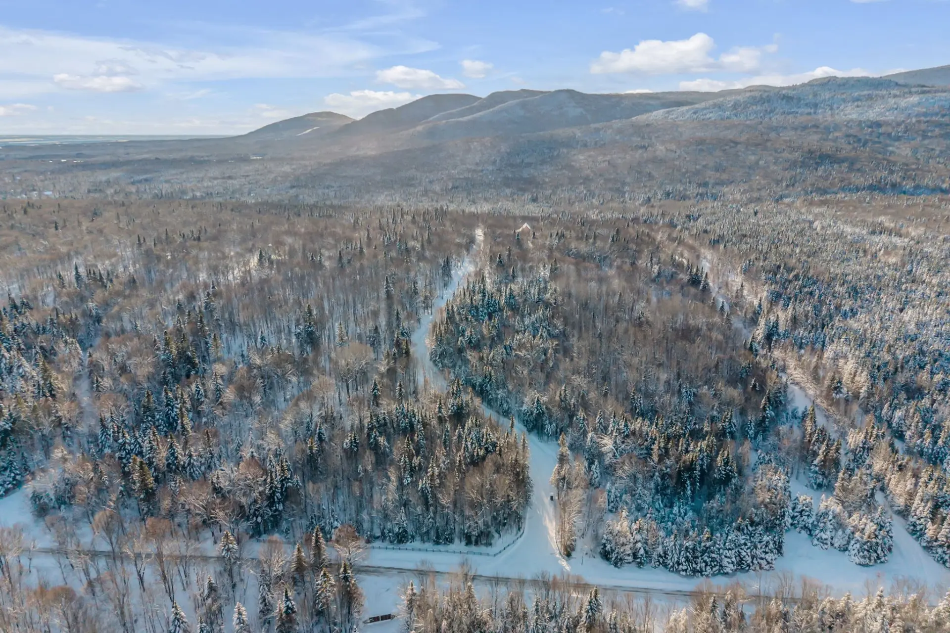 Terre à bois