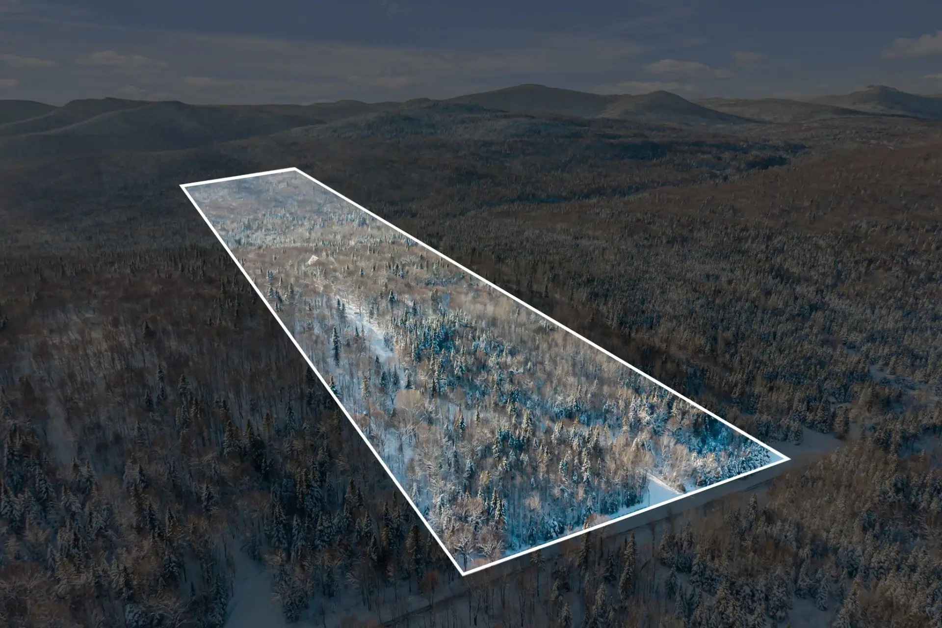 Terre/Terrain